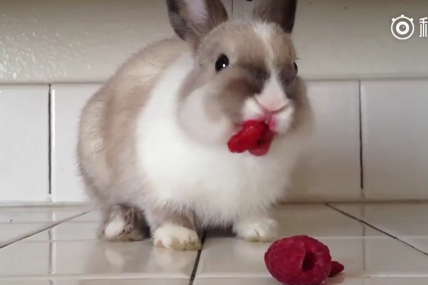 暗网吃瓜平台网站 平台社区氛围受匿名性影响