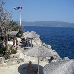 爱丽丝 小马拉大车最终幻想