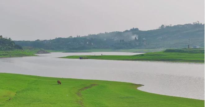 小蓝视频内购破解版