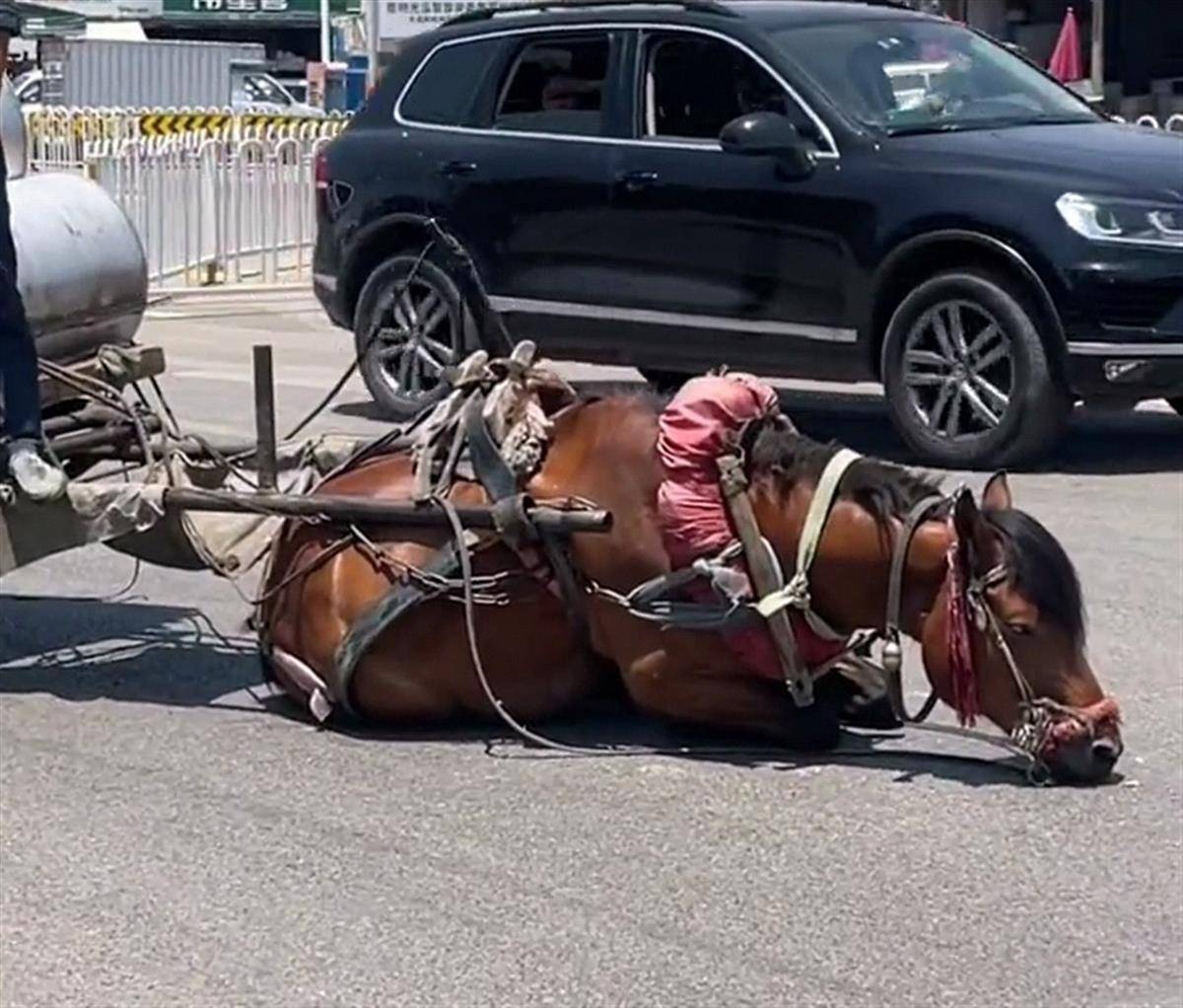 s p视频 视频视频视频对不起