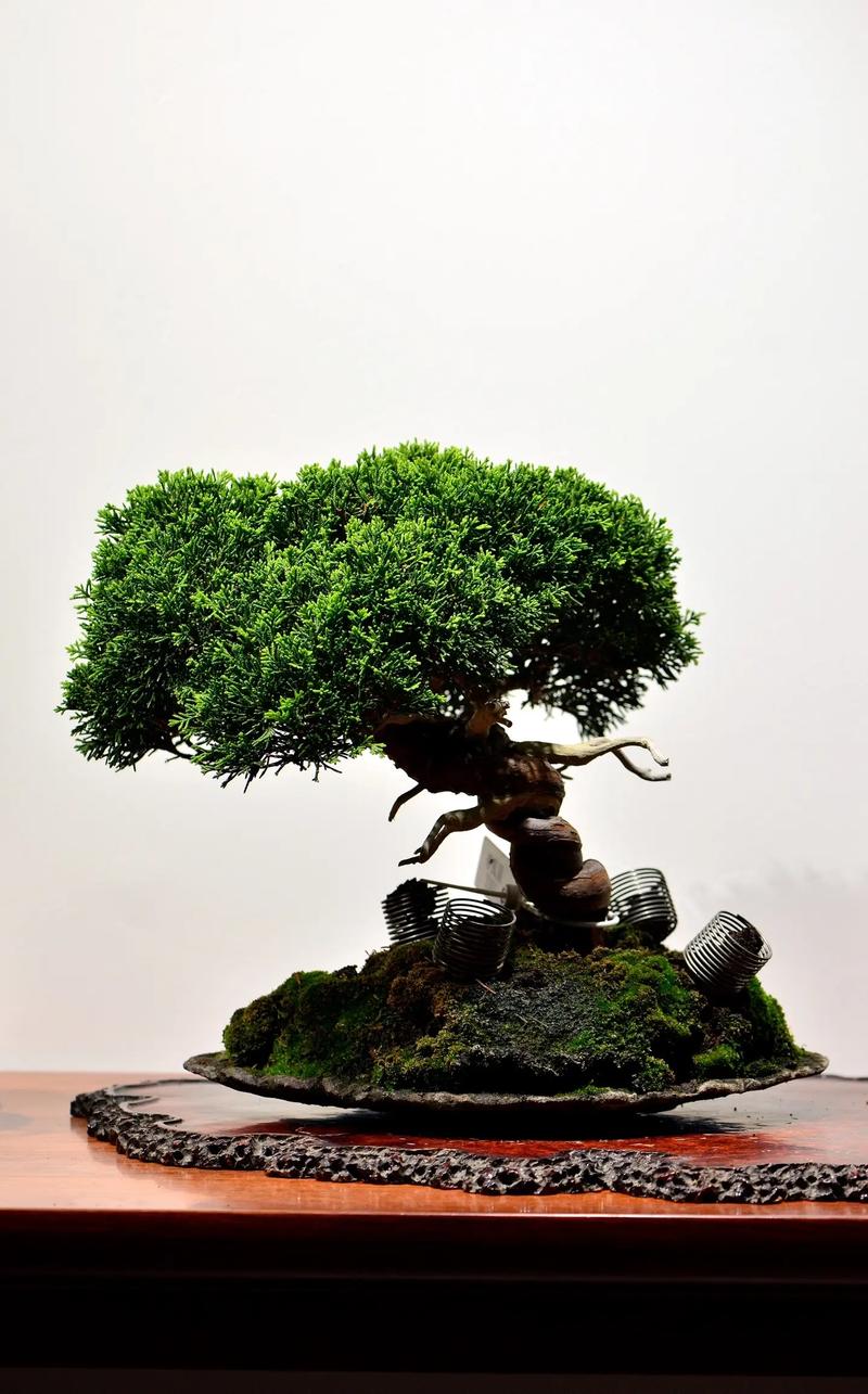 男同腐 如果有更具体的男同腐问题