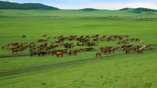 刺激自拍 刺激自拍避免敏感内容被滥用