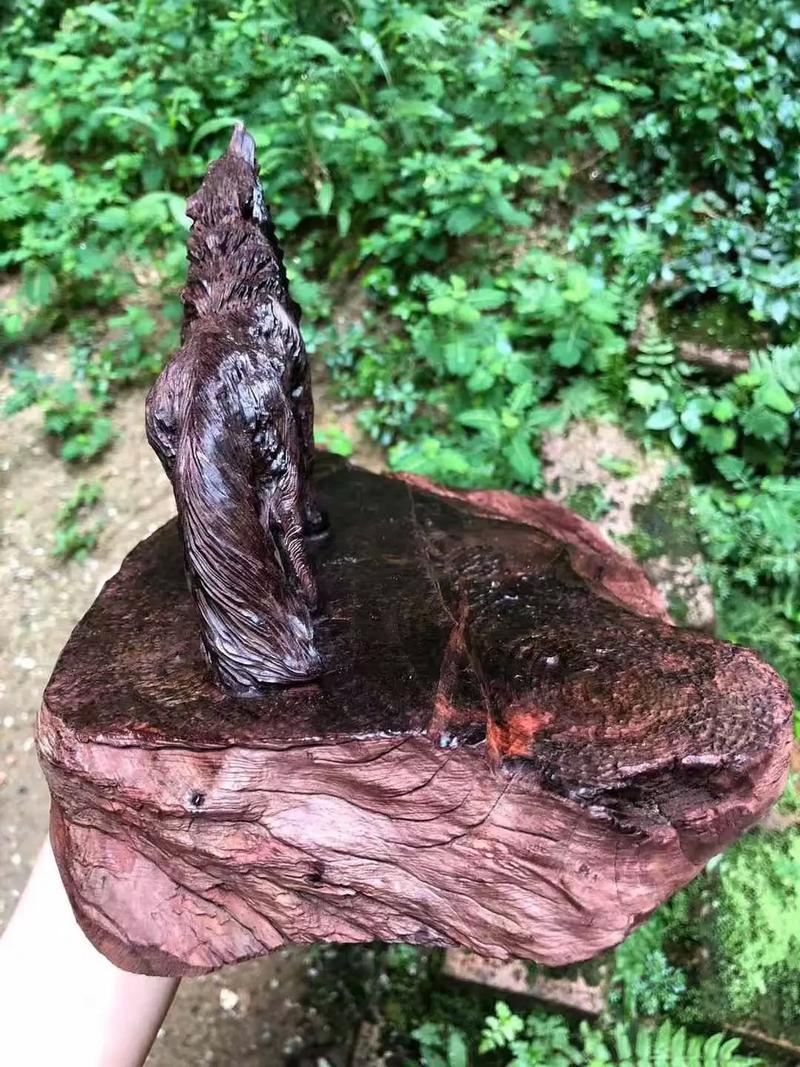 在线不卡 玩游戏卡还是视频通话卡