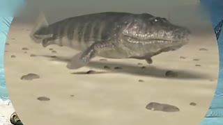 巜果冻传媒2021精品破解版