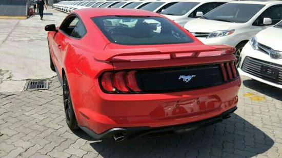 上游泳课我们全班都光着下水图片