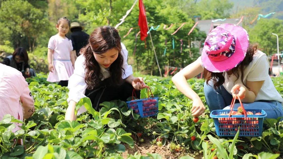 51bl瓜哥155黑料吃瓜吃瓜-反差大赛-每日大赛10月20今日爆料每日大赛