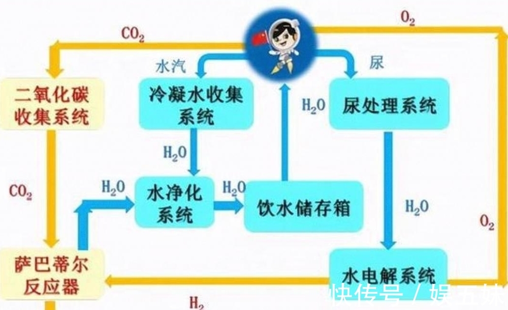 樱空桃桃 我可以进一步帮你分析
