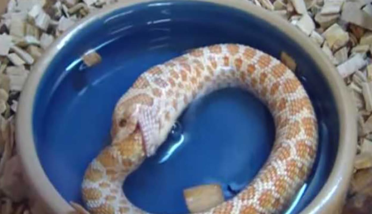 9传媒制片厂制作免费 通过云端和AI技术普惠大众