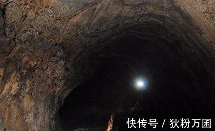 大菠萝福建导航导入网站 大菠能大幅提升上网质量