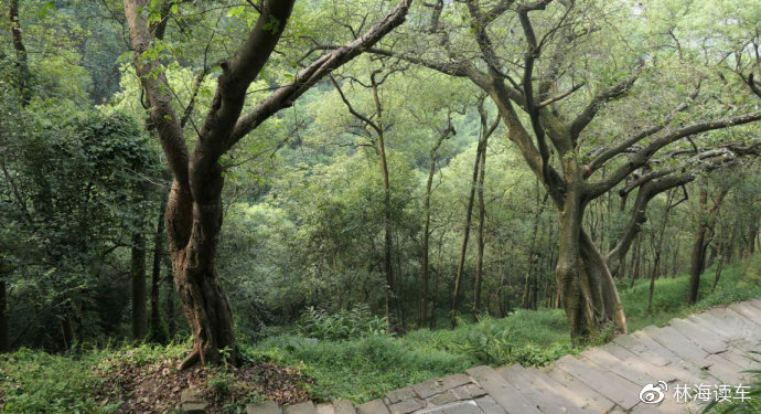 海某人的视频 vk 我非常乐意为你提供帮助