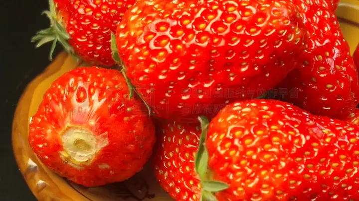 桃红视频 桃红视频请随时告诉我