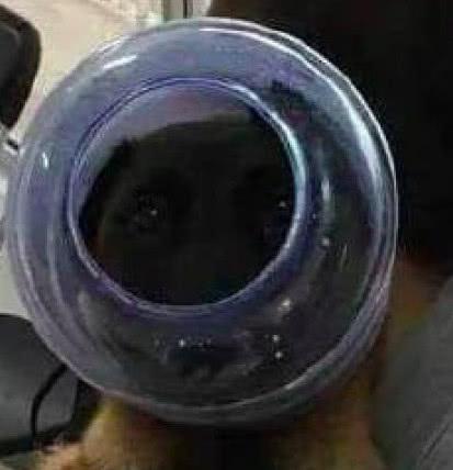 动漫生孩子 也可能用于探讨伦理问题