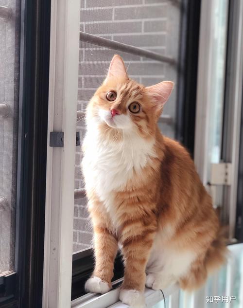 致八零年代的我们苏语棠 致零也在更广阔的年代意义上