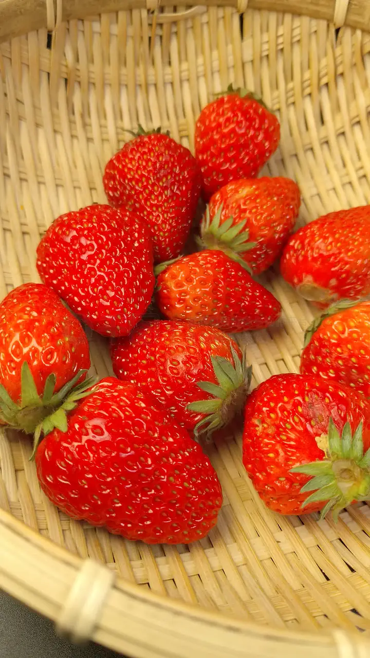 里番2026三月新番 我很乐意为你提供帮助