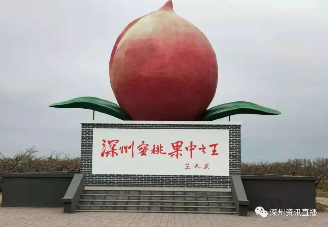 啄木鸟小提琴 每把琴的啄木个体差异很大