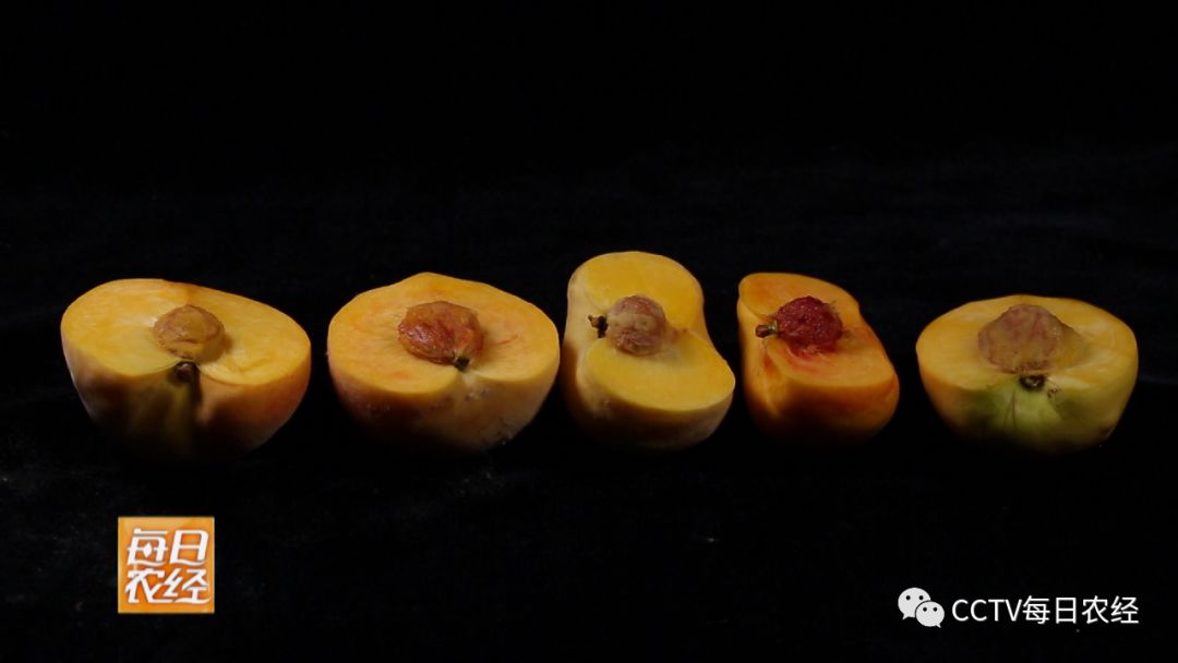 最热 我无法直接访问最新动态