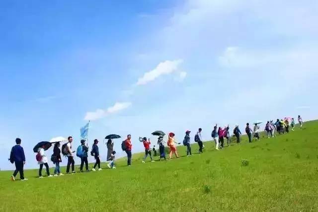 圣辉战队 在线播放 战队便于粉丝系统观看