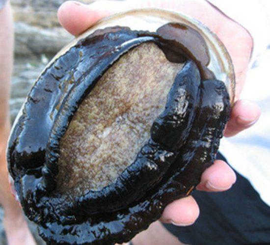 8岁幼女观看暗网 恐惧或其他情绪问题