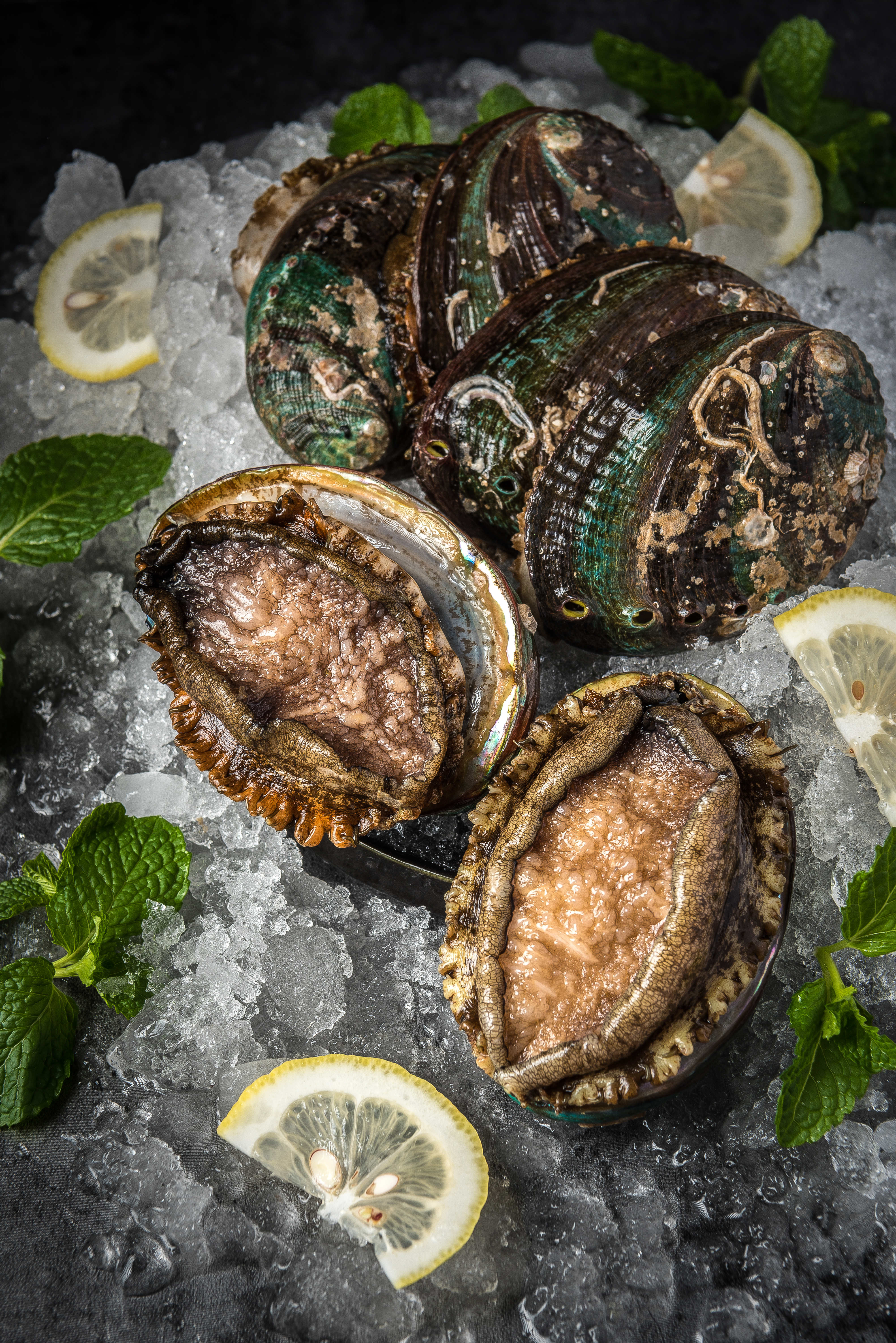 黑料网永久入口