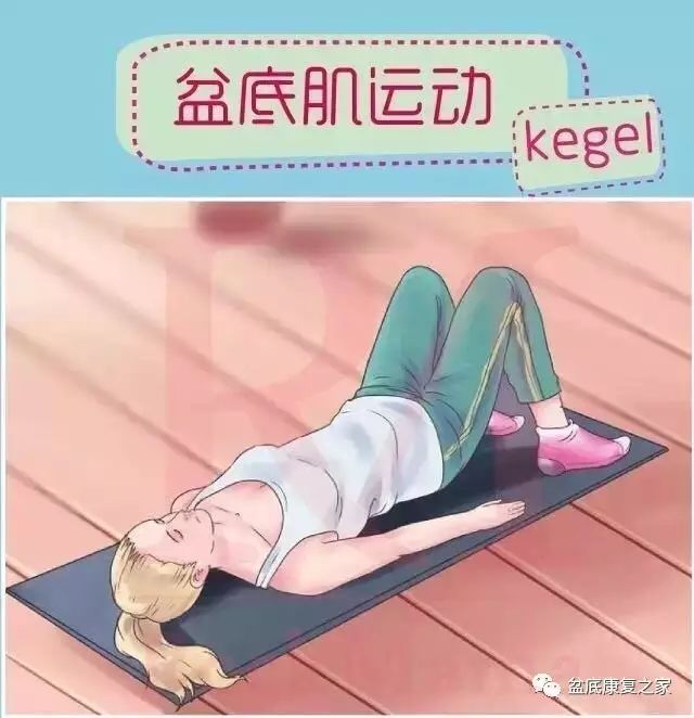 蓝莓视频客服电话