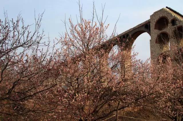 一二三四社区在线播放视频