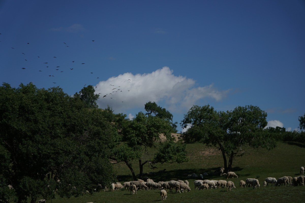 精品国产三级无码
