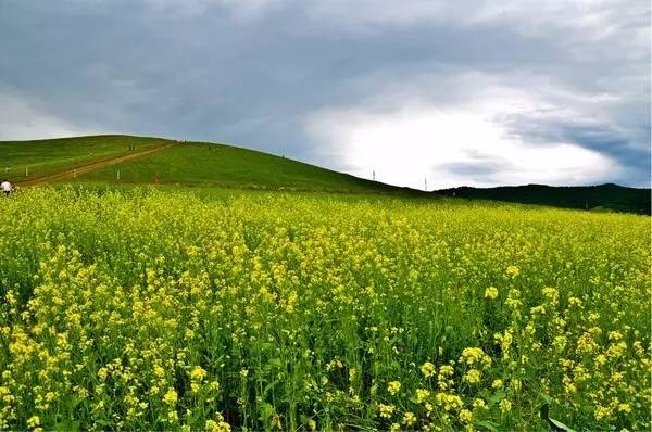 精品国产三级无码