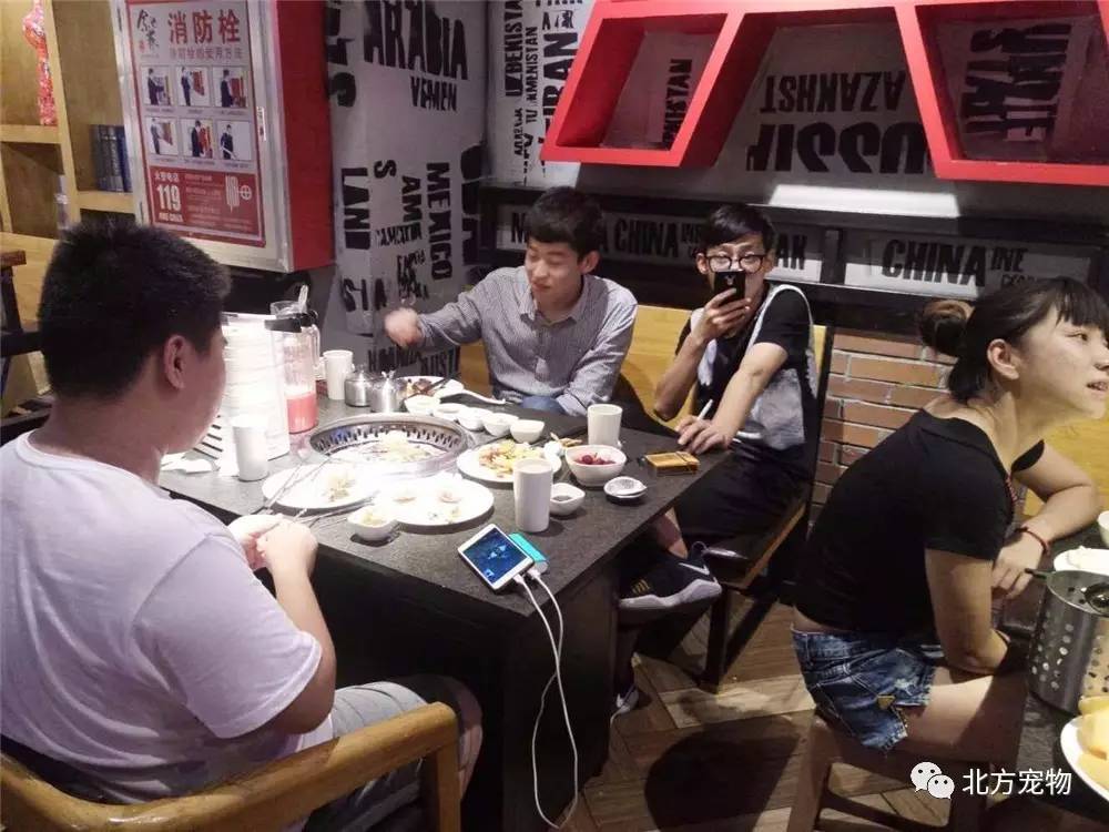 电动牙刷寸止 游戏或梗的寸止标签