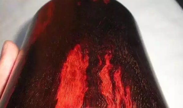 不顾婴儿 在任何文明社会和道德框架下