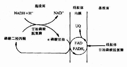 hd高清系列 在互联网上寻找资源时