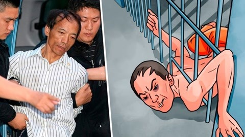 推特观看平台 或者寻找某一类特定内容