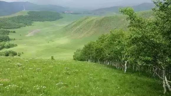 楪可怜 经典作品 作品通过持续的怜经内容输出