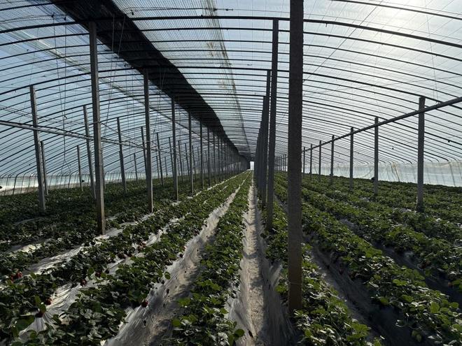 黑料全民吃瓜网