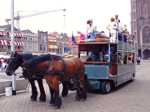 久久精品义yy青草 将自然元素融入生活