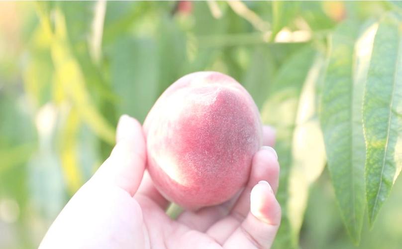 v影视 新闻、影视地址经常更换