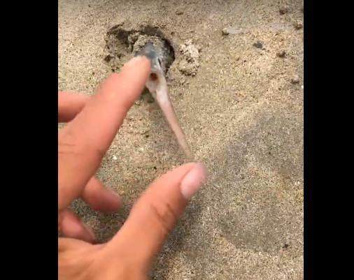 高质量动漫同人 让对话“有声”：闭上眼睛