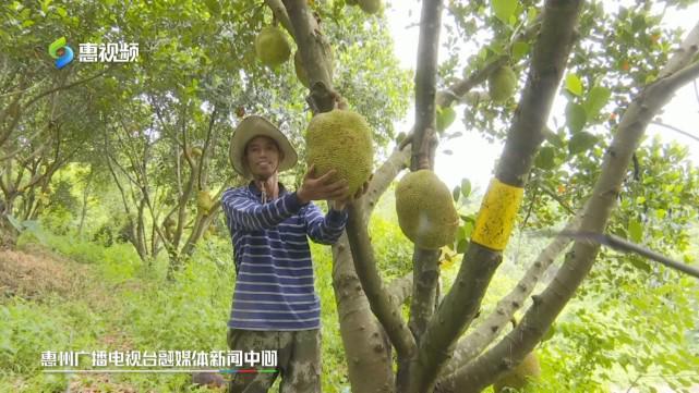 水宜方视频 您提到的水宜“水宜方视频”