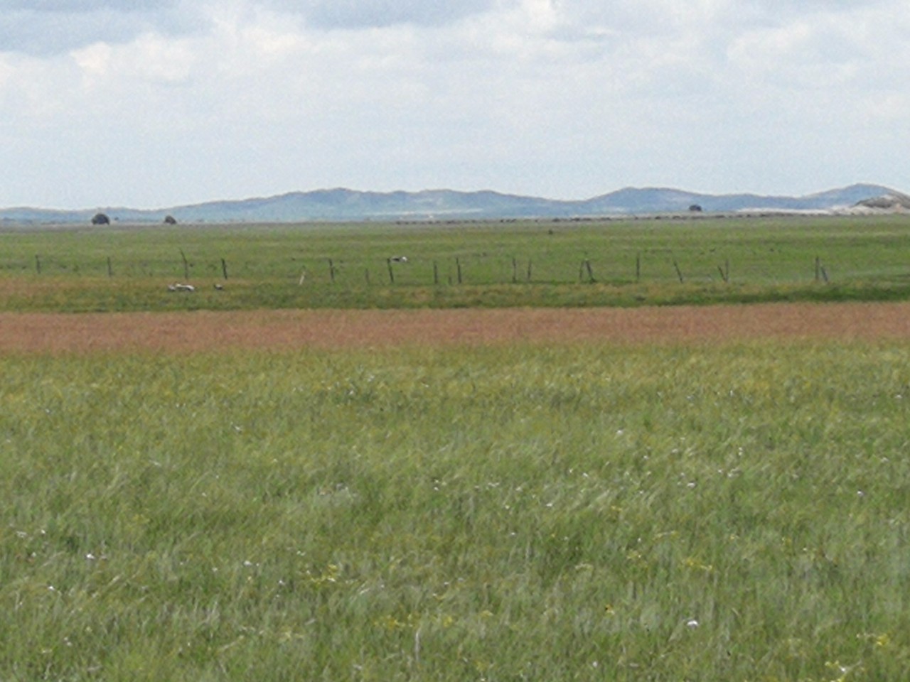 bl同志动漫 暴力或不健康的同志动漫内容