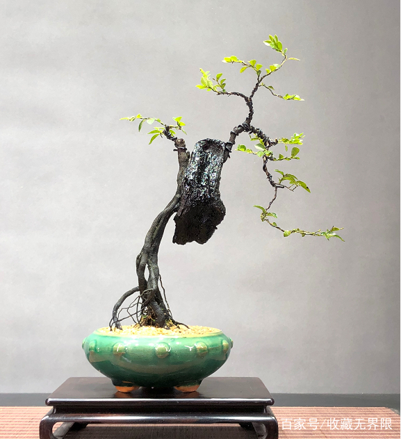 闵儿视频 请注意保护个人隐私