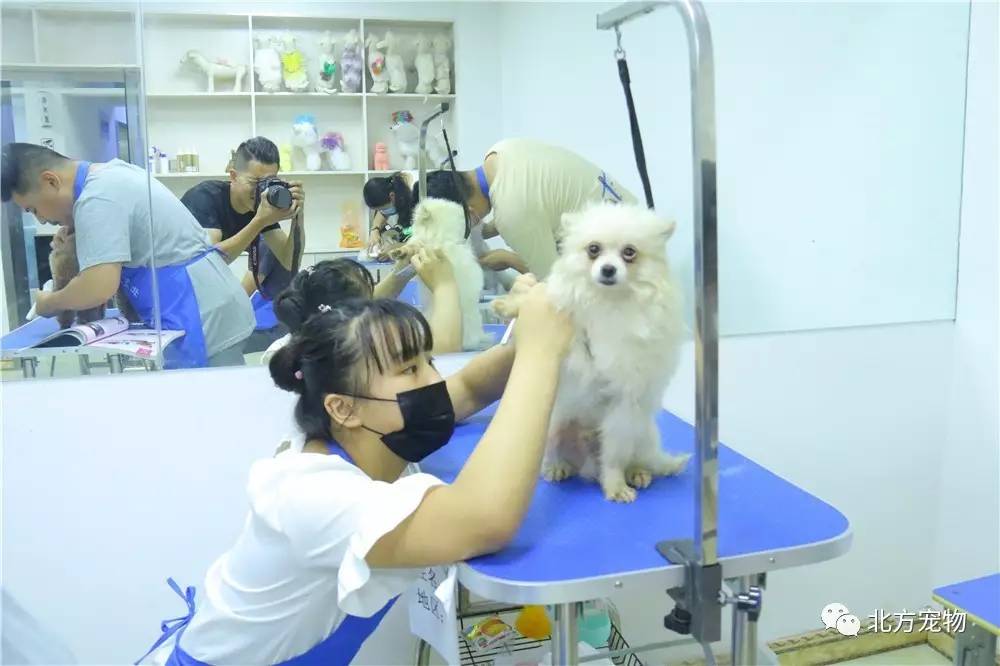 同人动漫视频 在虚拟歌姬和宅舞圈极为流行