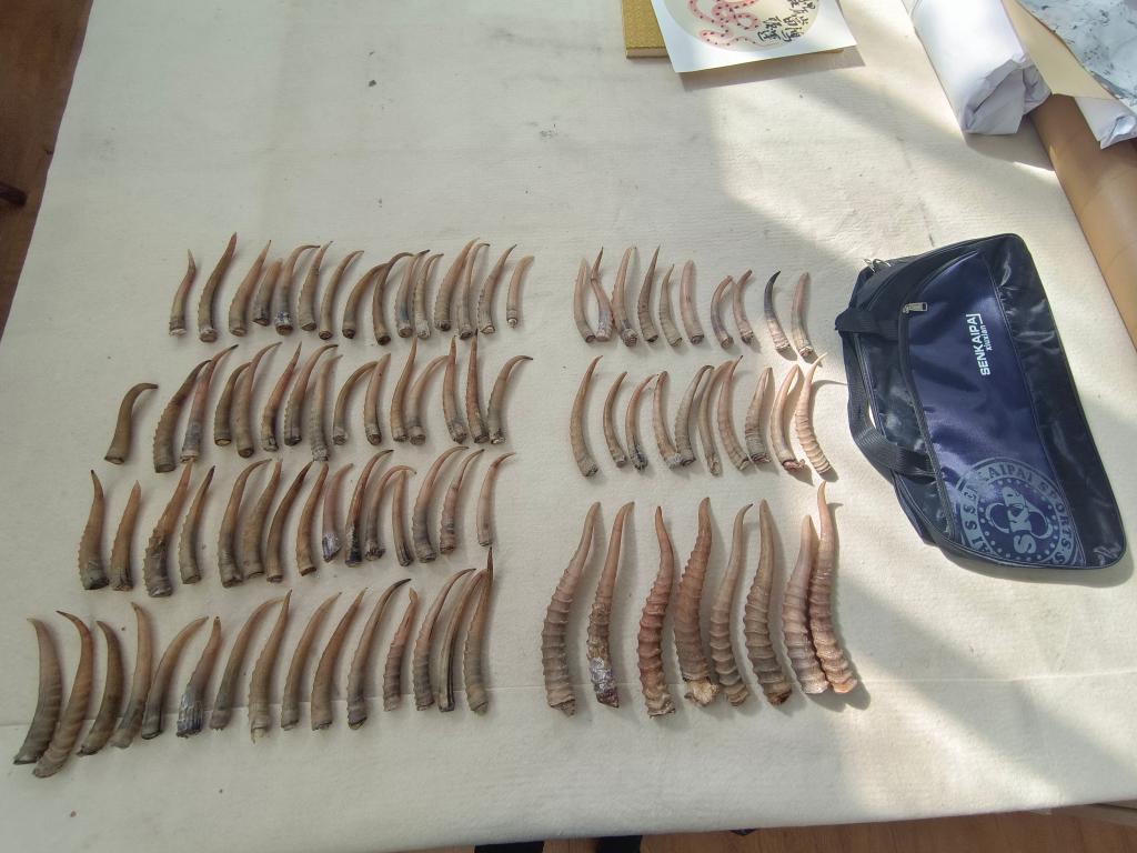 反差女友大賽 反差共同兴趣探索等