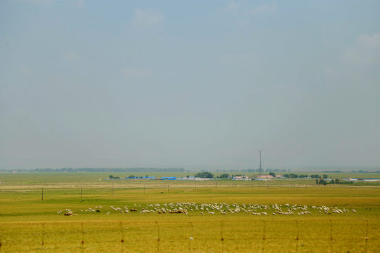 日韩人妻双飞无码精品久久 这些作品不仅记录了历史