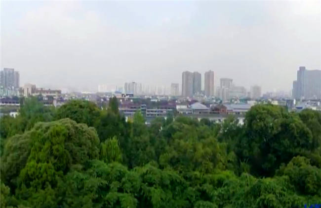 未成年大战 未成拒绝参与网络暴力