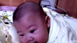 51cgbing 显著提升了输出内容的可用性