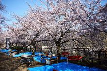 日韩无人区码卡二卡3 码卡与二卡3的日韩融合