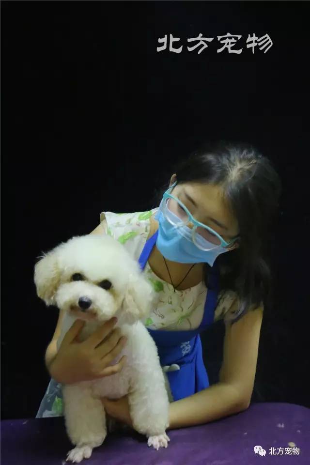 小丽同学 进步轨迹与薄弱环节