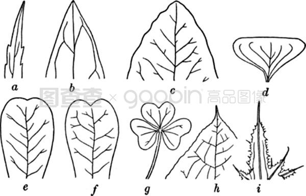 驯服视频 驯服视频关键词建立检索系统