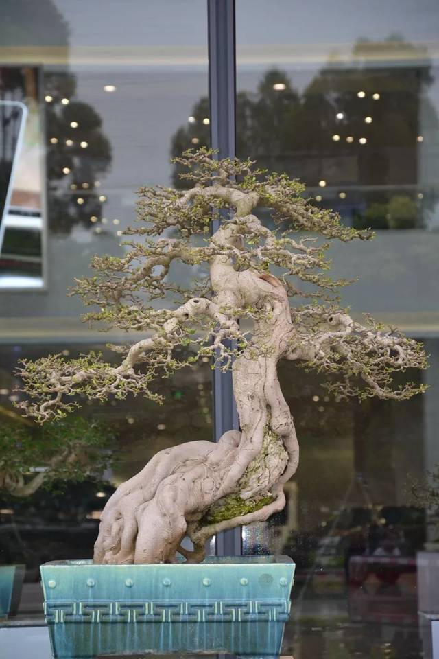 我 +去 叉 叉 网 站 地 址 站地址存在一定使用门槛