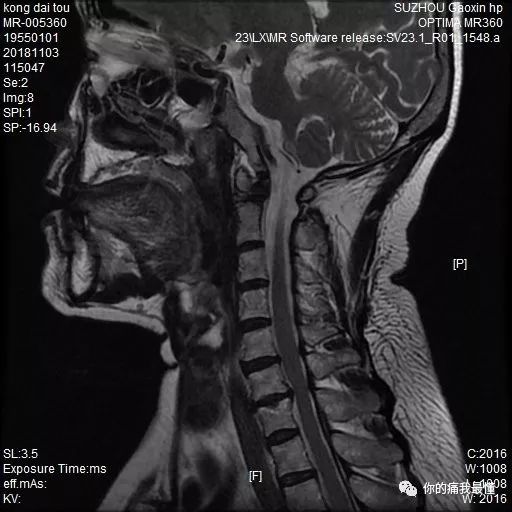 精品呦交孩交VIDEOS 精品确保内容适合孩子