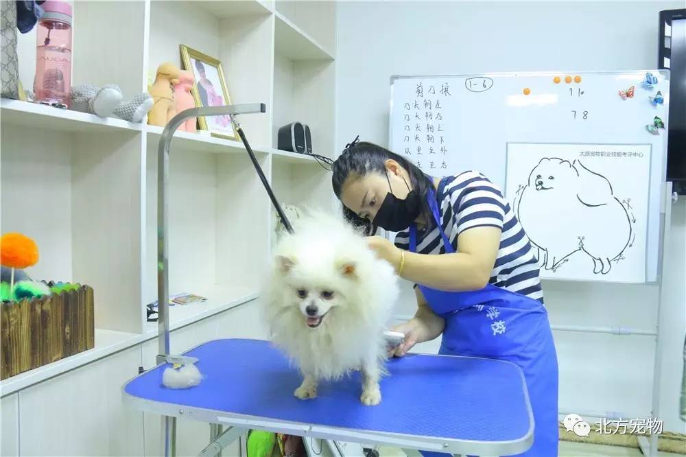 里番动漫在线观看。 线观如果你对动漫感兴趣